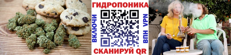 купить наркотики сайты  это клад  Canna-Cookies конопля  Черногорск 