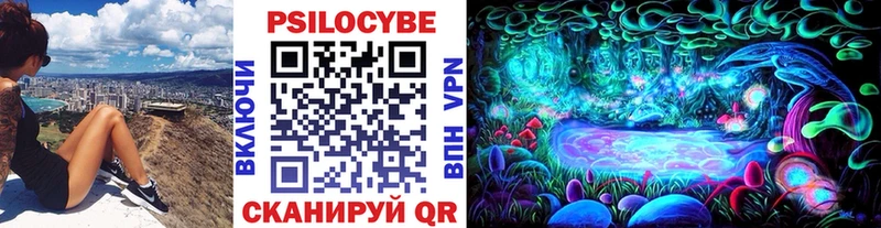 где продают   Черногорск  Псилоцибиновые грибы прущие грибы 
