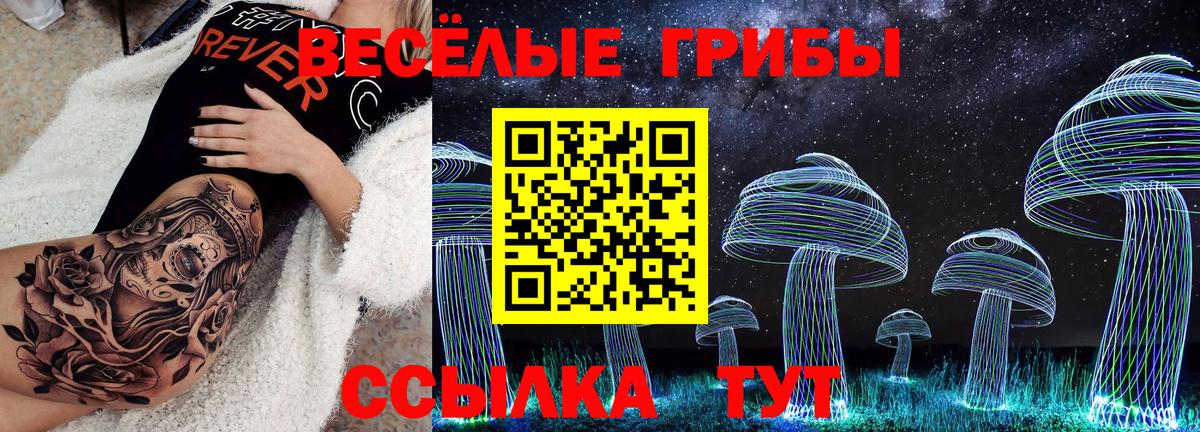 Галлюциногенные грибы прущие грибы  Галлюциногенные грибы Psilocybine cubensis  Черногорск  Вход с VPN 