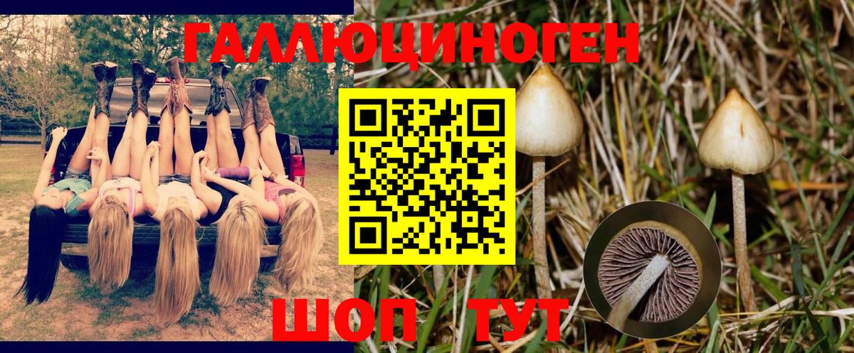 Псилоцибиновые грибы прущие грибы  Черногорск  Псилоцибиновые грибы Magic Shrooms 