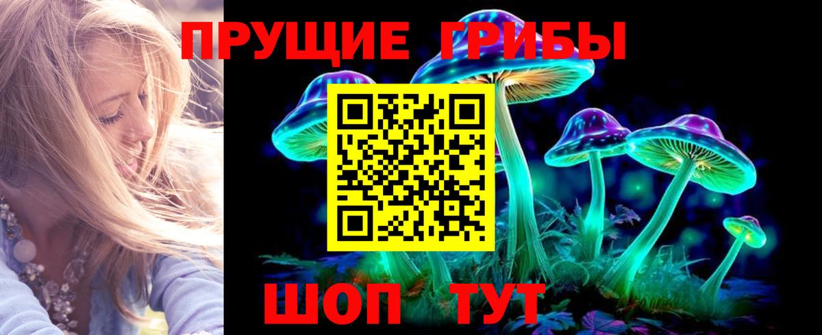 Псилоцибиновые грибы Psilocybine cubensis Черногорск