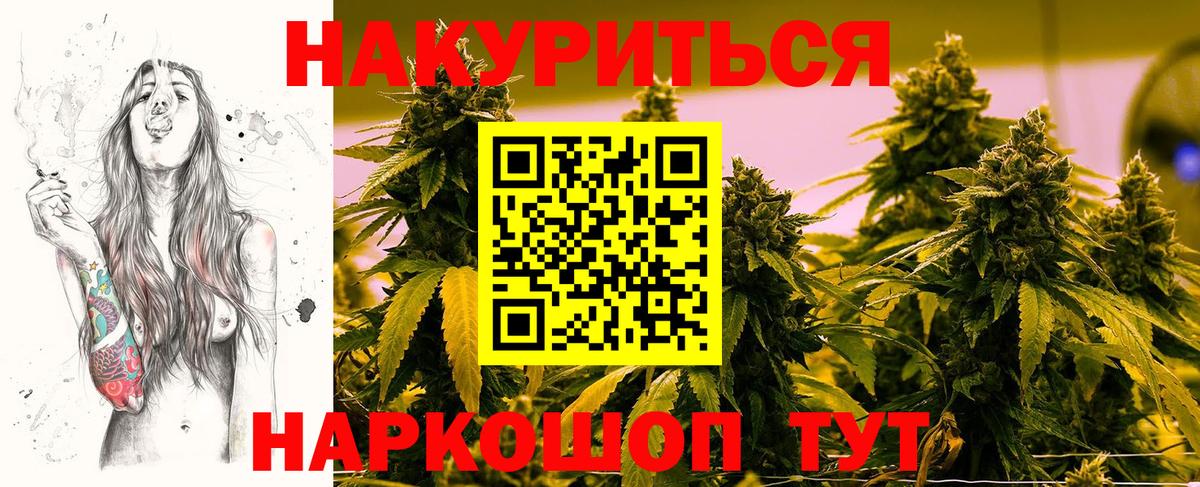Шишки марихуана сатива  Вход с VPN  Черногорск  Бошки марихуана OG Kush  Каннабис конопля 